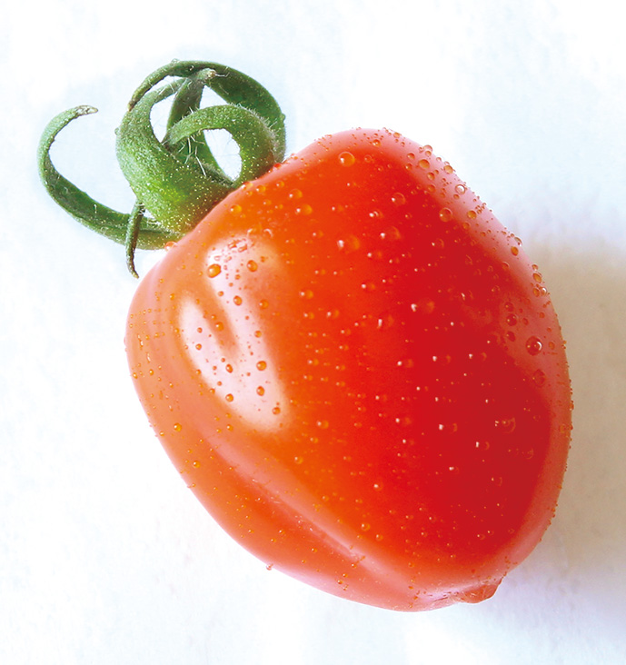 tomato8-2