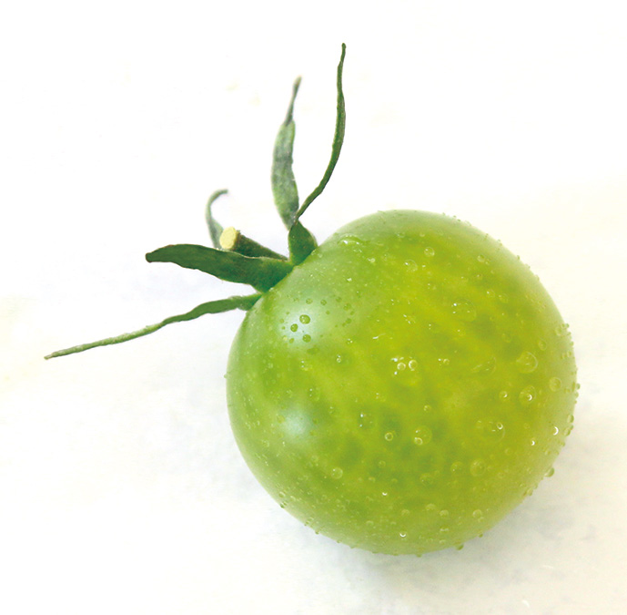 tomato8-2