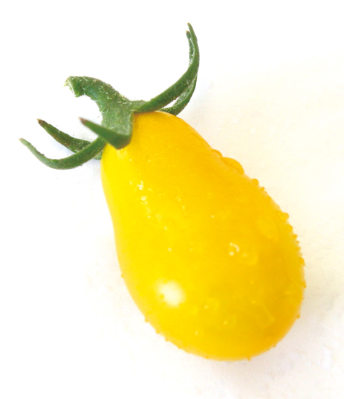 tomato8-2