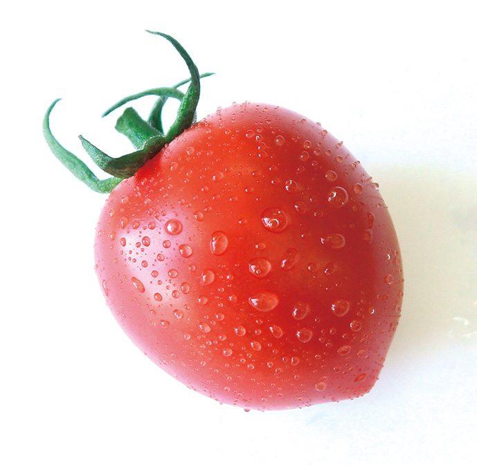 tomato8-2