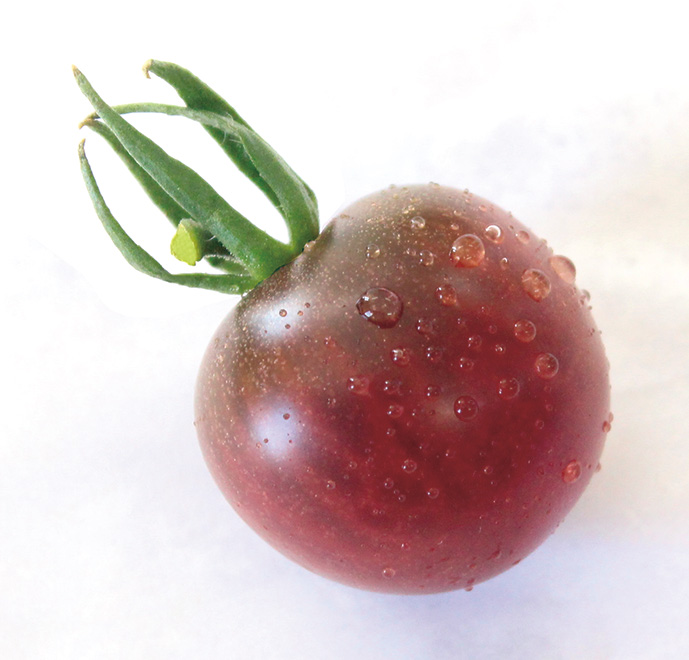 tomato8-2